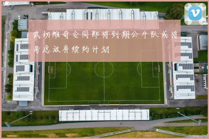 武切维奇合同即将到期公牛队或将考虑放弃续约计划