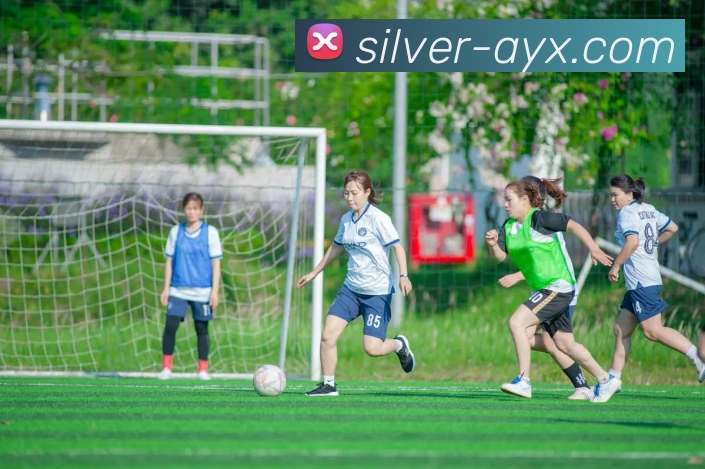 爱游戏平台生态图